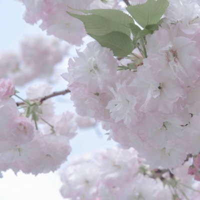 四会FurryQQ群介绍